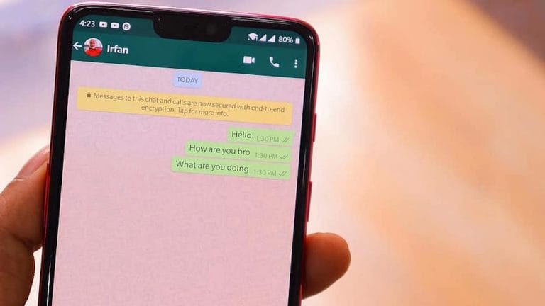 Govts want backdoor entry to encrypted WhatsApp texts. It can also be backdoor for hackers