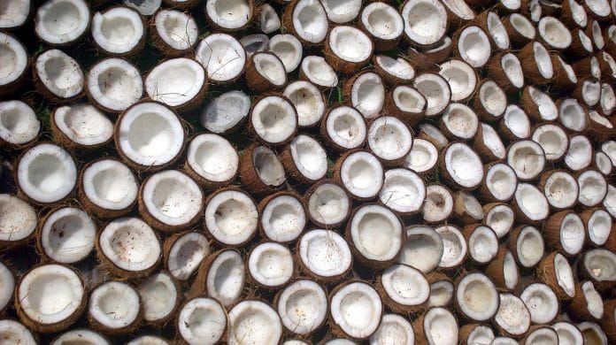 Coconut copra