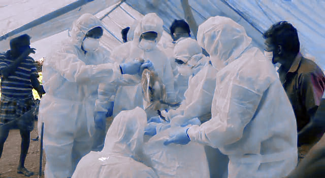 Culling of birds being done to prevent the spread of bird flu as H5N8 virus has been reported in Kerala | ANI