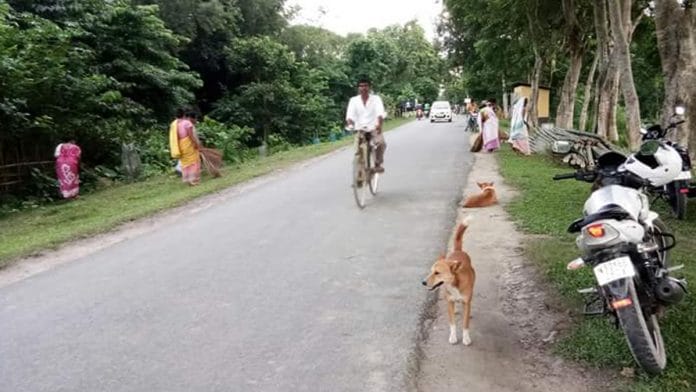 The village Halda in Assam | Twitter | @TDasKumar
