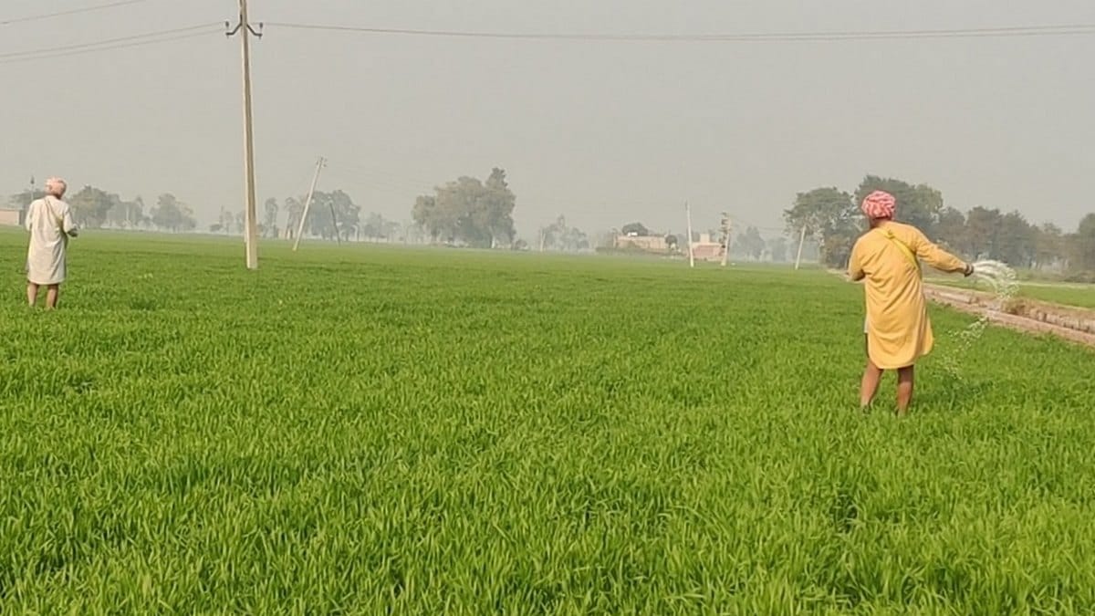 पहचान की राजनीति से परे: पंजाब को वित्तीय संकट से उबारने के लिए कड़े आर्थिक सुधारों की दरकार