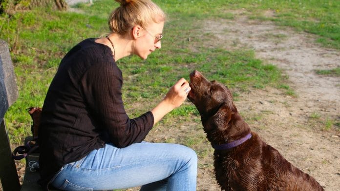 Representational image | Pixabay