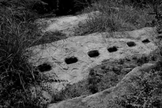 Photo courtesy: Mudit Trivedi | Aleph