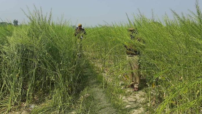 UP Police personnel at the site where the girls' bodies were discovered, at Unnao's Baburaha village | Prashant Srivastava | ThePrint