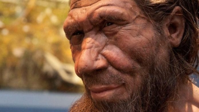 Representational image | nhm.ac.uk