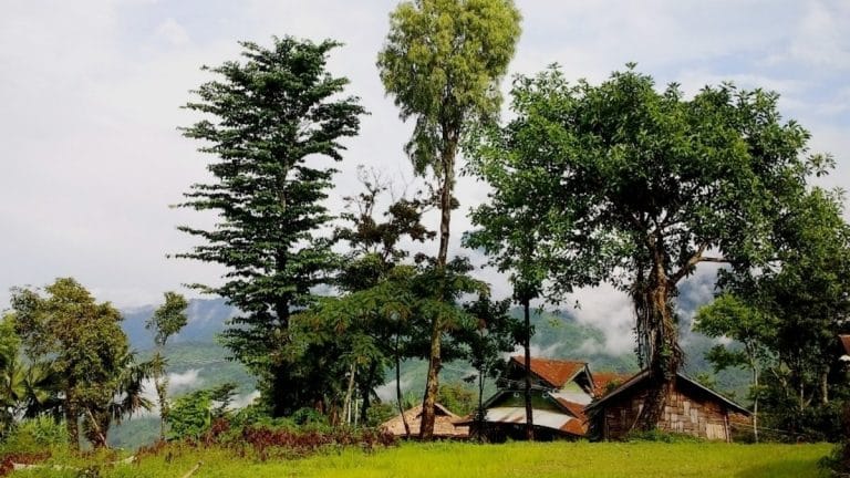 Nagaland emerges as worst-performing state in Northeast SDG Index, experts blame insurgency