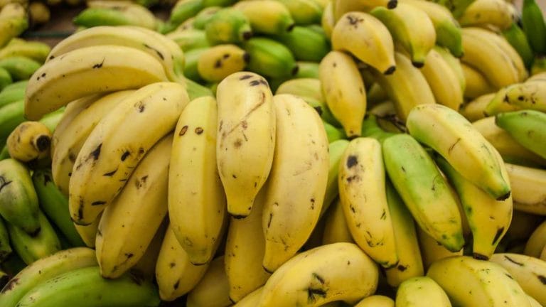 Uganda is upcycling banana waste into rugs, wigs, vegan leather. India can learn