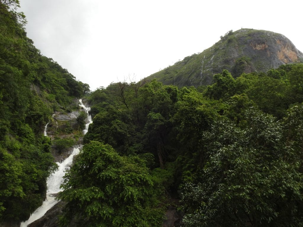 Noyyal river origin | Sanket Bhale