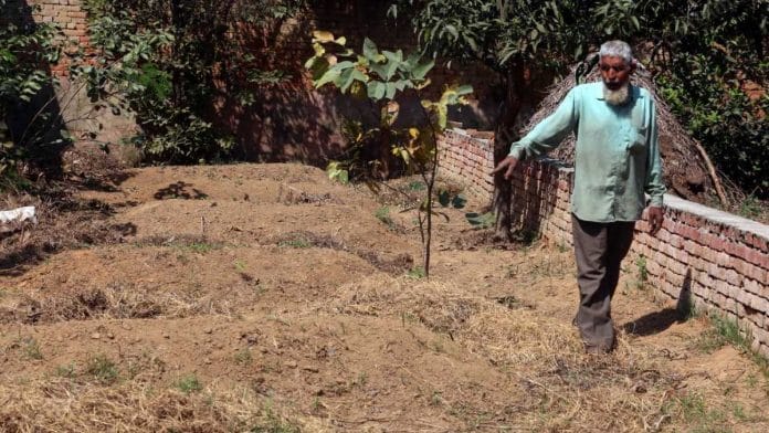 Sattar Ali, the younger brother of murder victim Shaukat Ali, points to the graves of the seven family members killed by his niece Shabnam in April 2008 | Praveen Jain | ThePrint