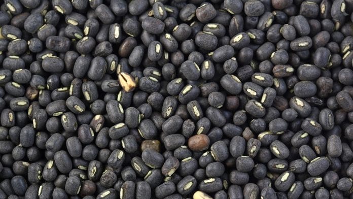 Representational image. | Photo: Commons