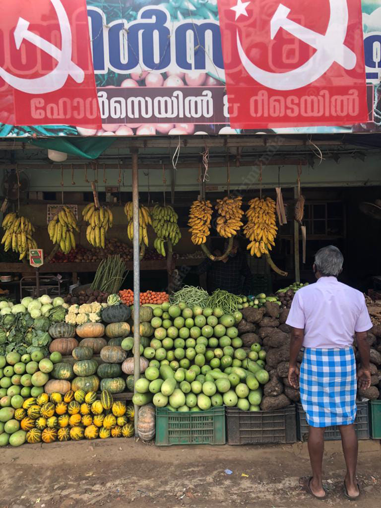 Party flags at a roadside fruit and vegetable stall in Choonadu village | Photo: Jyoti Malhotra | ThePrint