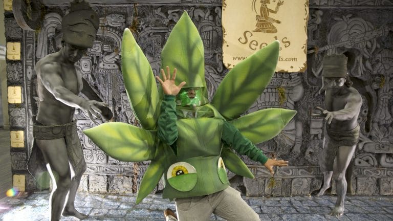 Mexico moves to legalise cannabis use — it can de-escalate drug war