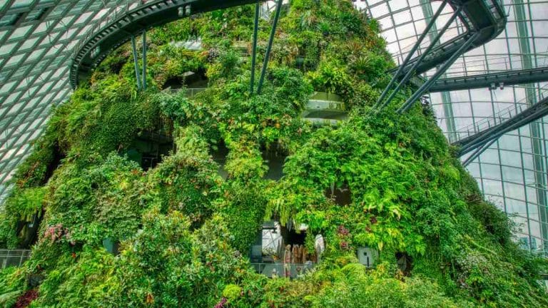 How Singapore’s new ‘forest town’ can provide a blueprint for urban living