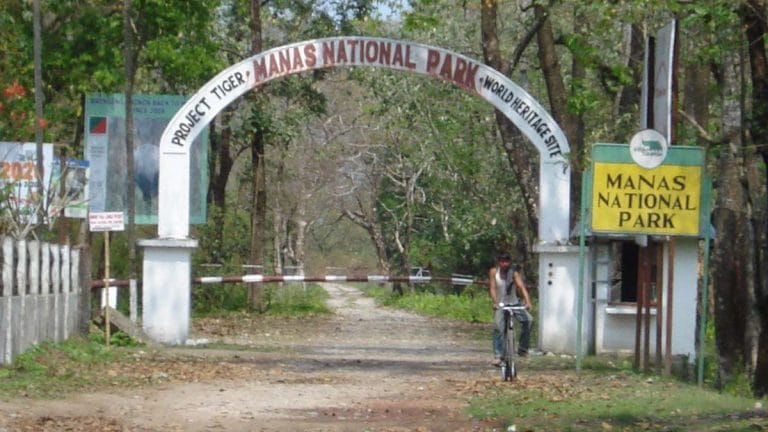 Tiger unit of Assam’s Manas National Park wins International Ranger Award