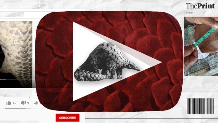 Illustration of Pangolin trade on YouTube by Soham Sen