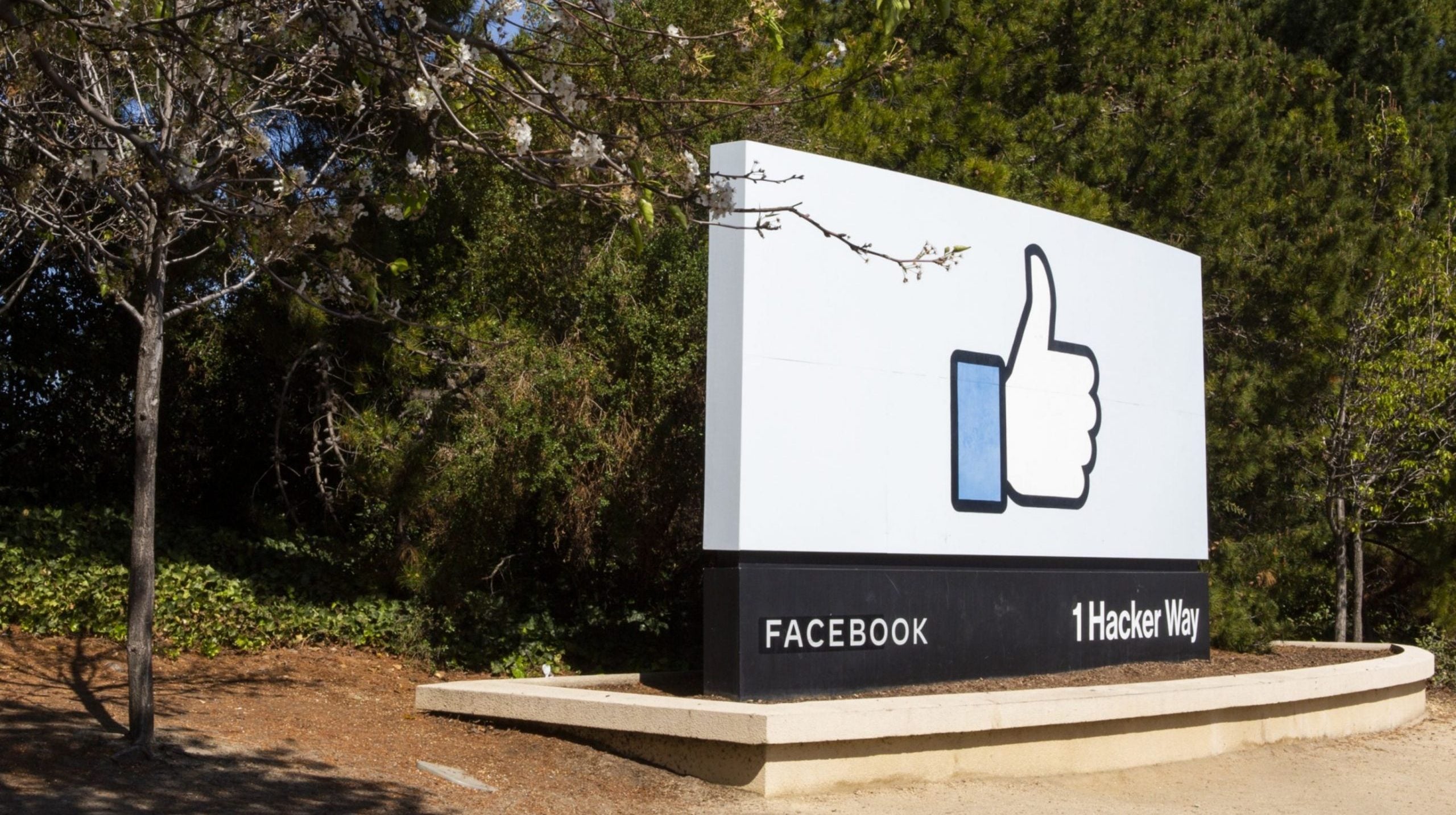 Facebook plans to rebrand the company with a new name, Verge says