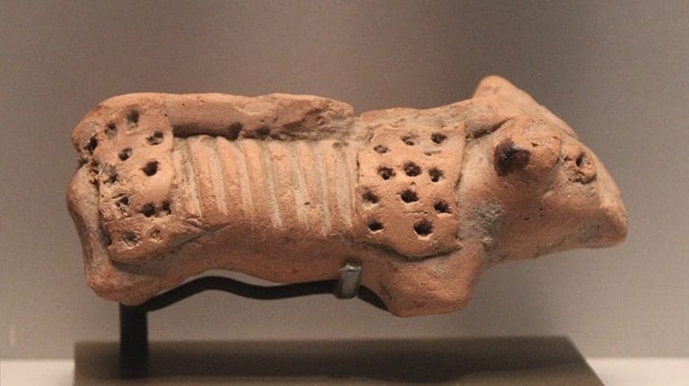 Was Harappa wet or arid? Rhinos hold a clue