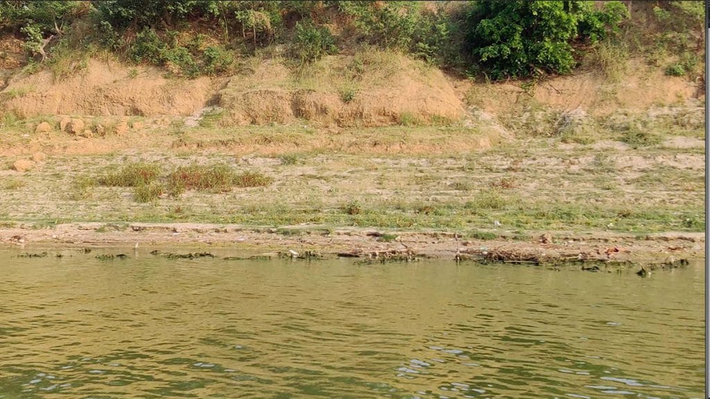Human remains stuck to the riverbank | Photo: Sajid Ali | ThePrint