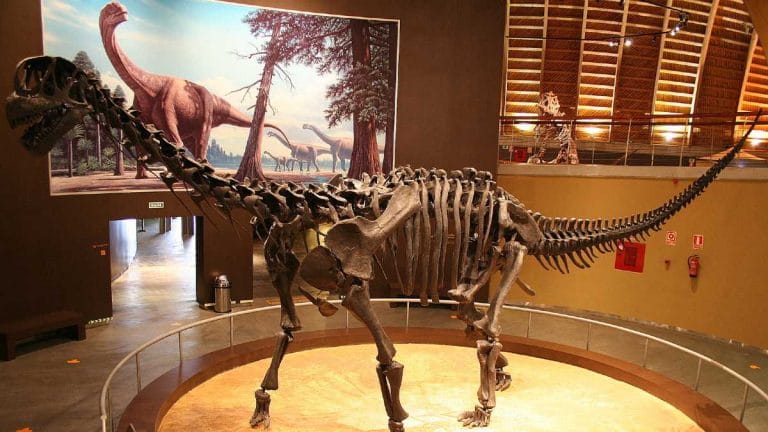 GSI scientists stumble upon 100-million-year-old dinosaur bones in Meghalaya