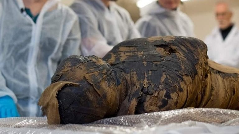 Polish researchers discover a pregnant Egyptian mummy, in a first