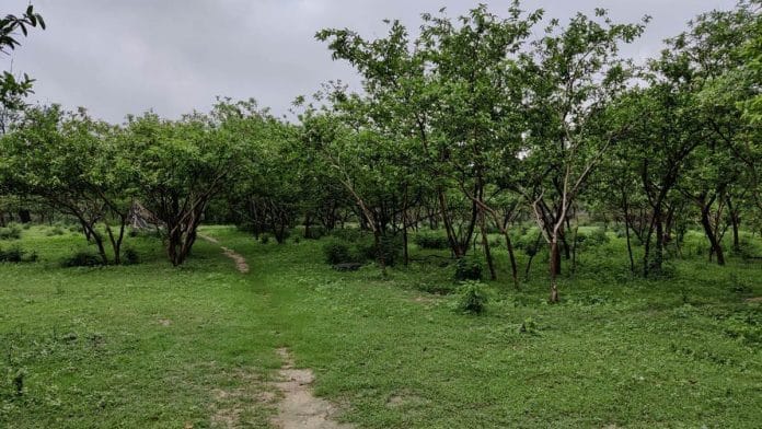 The land near Ayodhya railway station that was sold to the Ram temple trust on 18 March 2021 | Photo: Prashant Srivastava/ThePrint