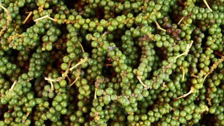 India’s futures market needs a rethink. Look at our pepper, cardamom sales