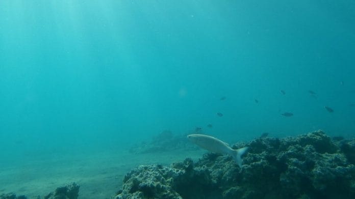 Representational image