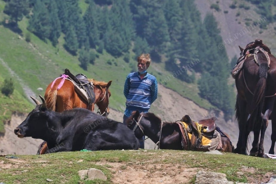 A ghodawallah waits for customers at Sonmarg | Praveen Jain | ThePrint