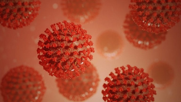 Coronavirus can persist for months after traversing entire body: Study