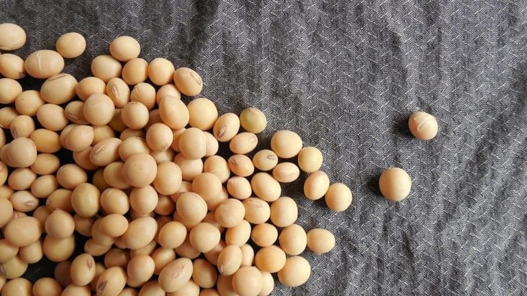 India’s soybean sector needs attention—domestic oversupply but rising imports
