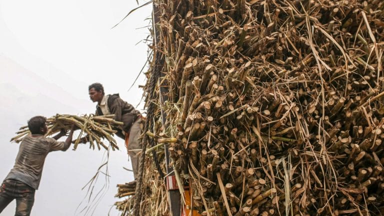 India’s ethanol production can’t ride on surplus sugar and rice. Modi govt needs a way out