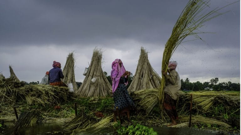 SubscriberWrites: Deterioration of Jute Sector in Southern India and the Need for Strategic Revival