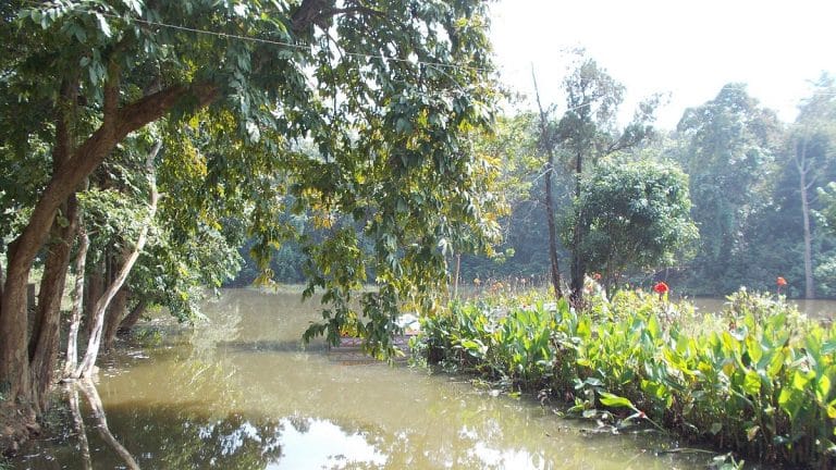 Jharkhand’s Hazaribagh National Park is a myth. It does not exist