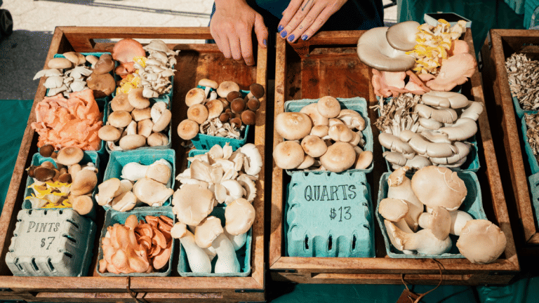 Mushrooms are the next big thing in the meat-free protein market