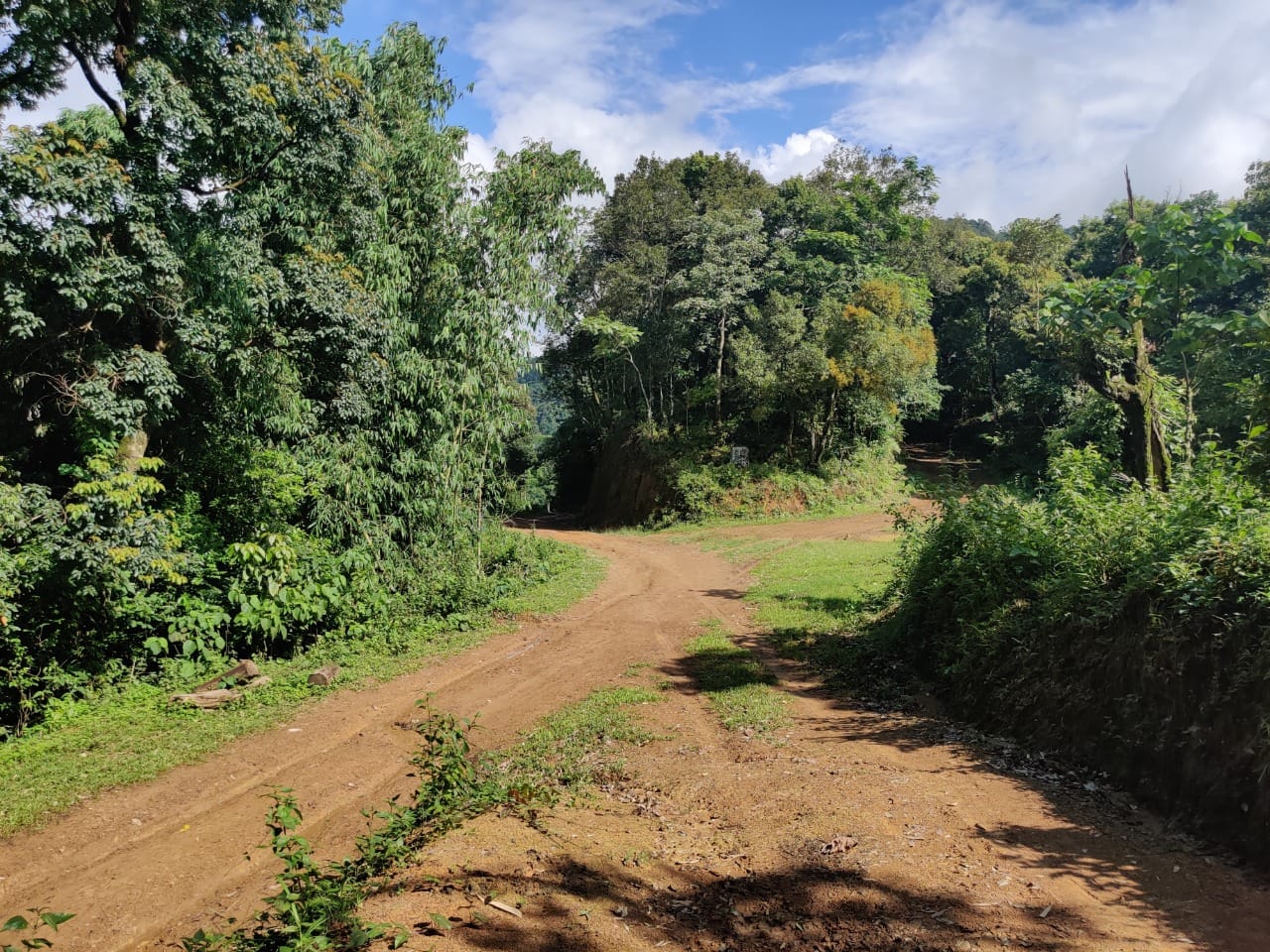 A crossroads that lies along the stretch where the road will come up | Simrin Sirur | ThePrint