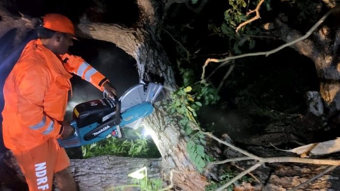 NDRF personnel conduct restoration work after 'Cyclone Gulab' made landfall , in Srikakulam Sunday | ANI