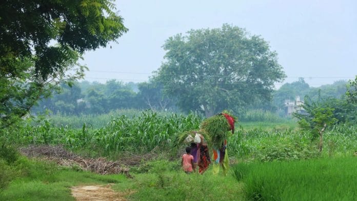 The site where the 20-year-old was cremated without her parent’s consent | Photo: Manisha Mondal/ThePrint