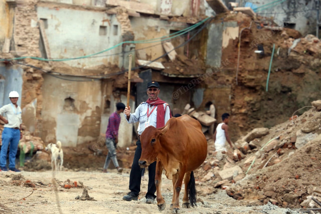 Security guards inside the construction site | Photo: Praveen Jain | ThePrint