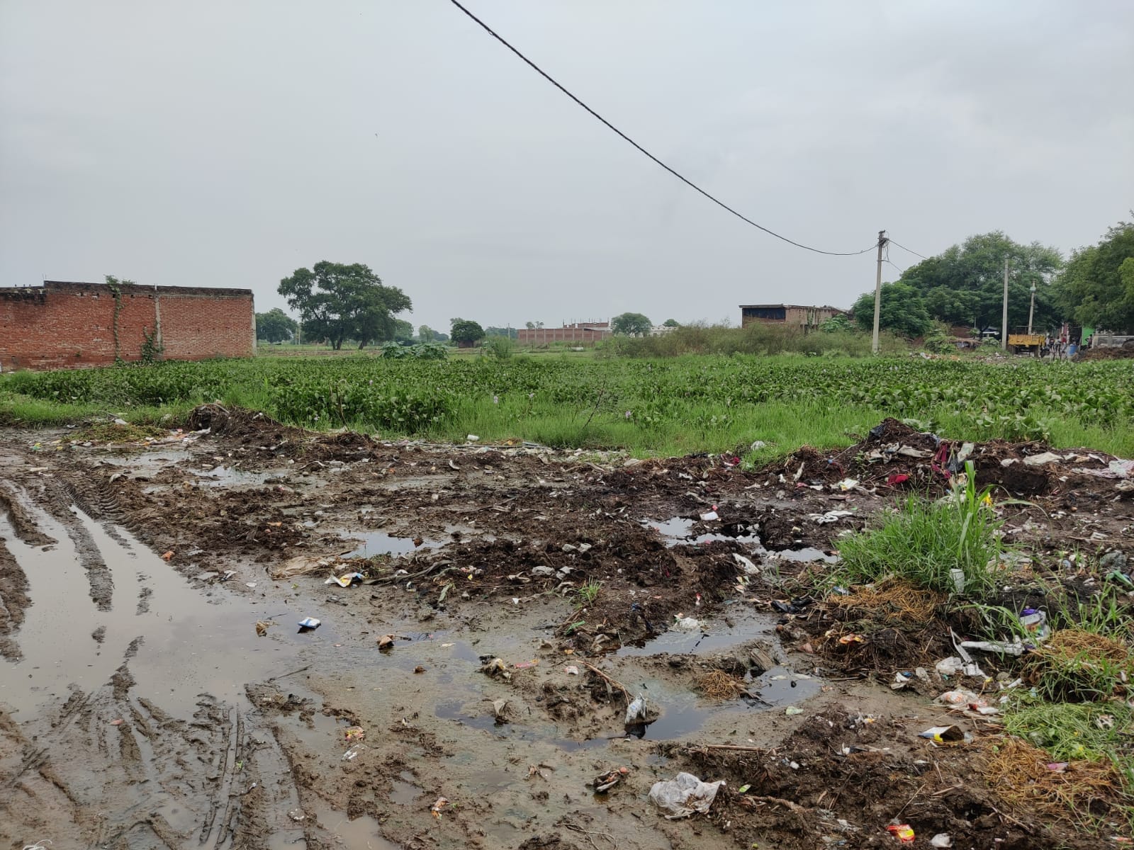 Stagnant water gathered at Nagla Mavasi | Shubhangi Misra | ThePrint