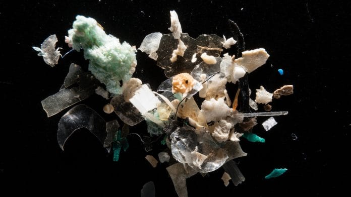 Microplastics in a river | Laboratory of Dr Lance Yonkos/Chesapeake Bay Program