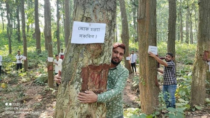 Assam's Chipko movement