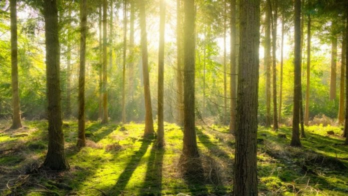 Representational image | Photo: Pexels