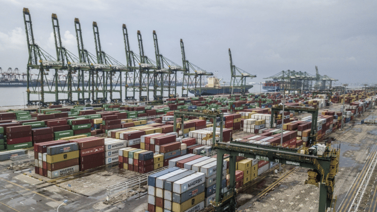 China energy crisis is hurting everyone from automakers to sheep farmers