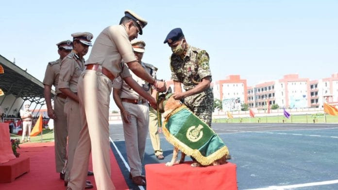 Snowy receives the 'best dog' medal from ITBP Director General Sanjay Arora during the Dg's parade Saturday. | By special arrangement