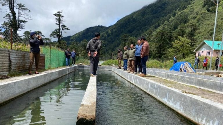 For fish farmers in this Sikkim village, there is a pot of money at the end of the ‘rainbow’