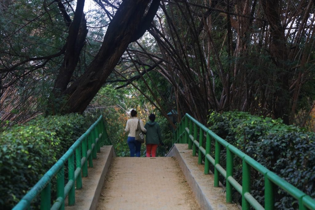 At Lodhi Garden | Photo: Manisha Mondal | ThePrint