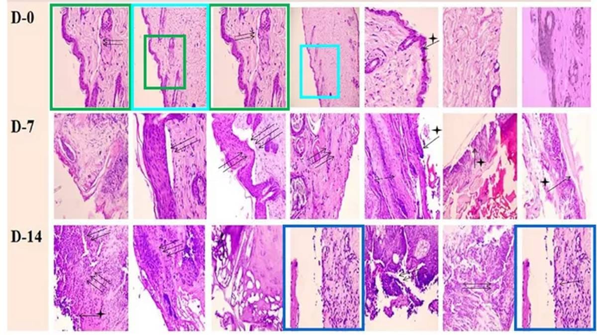 The duplicated images. | By special arrangement