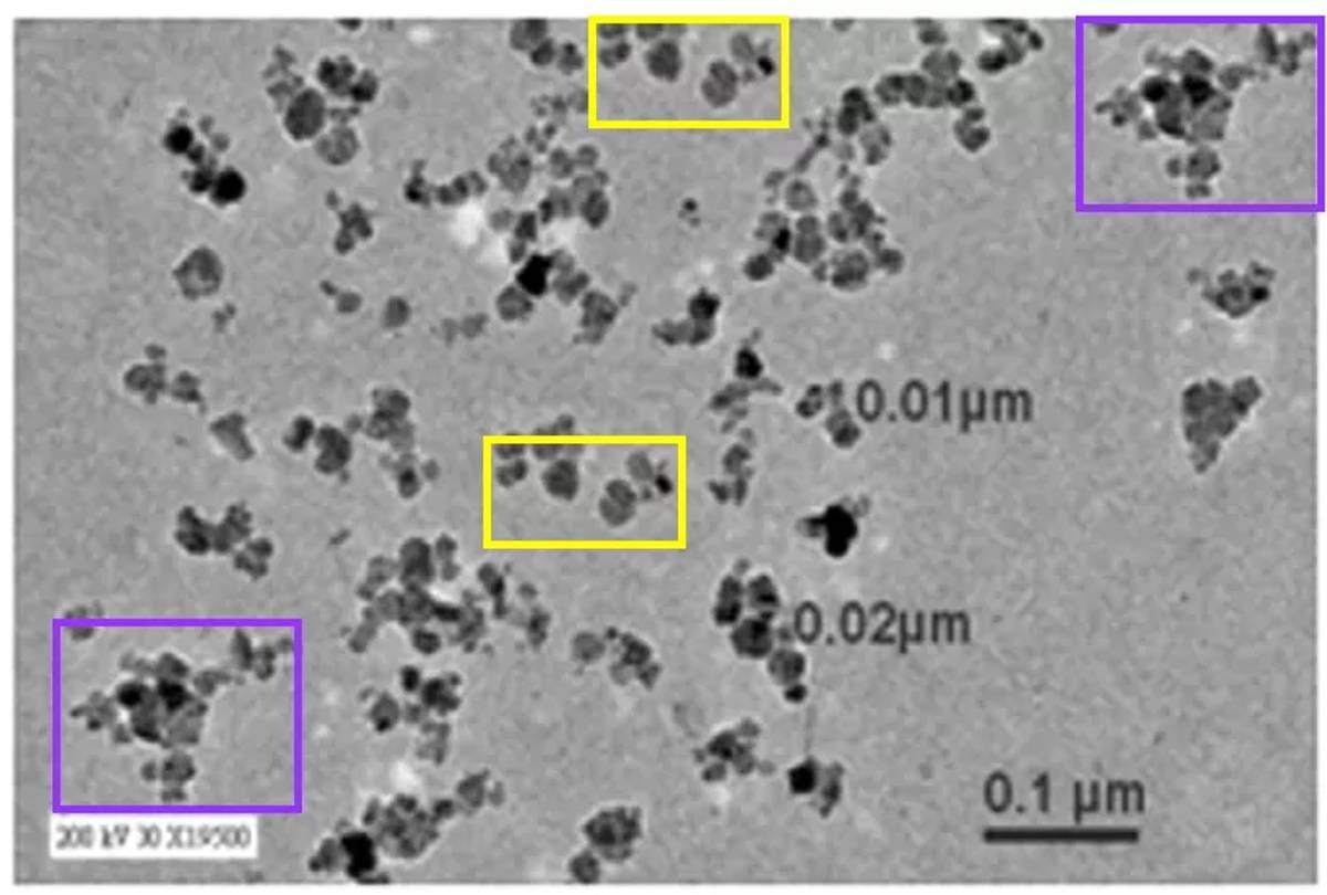 Image with identical features. | By special arrangement