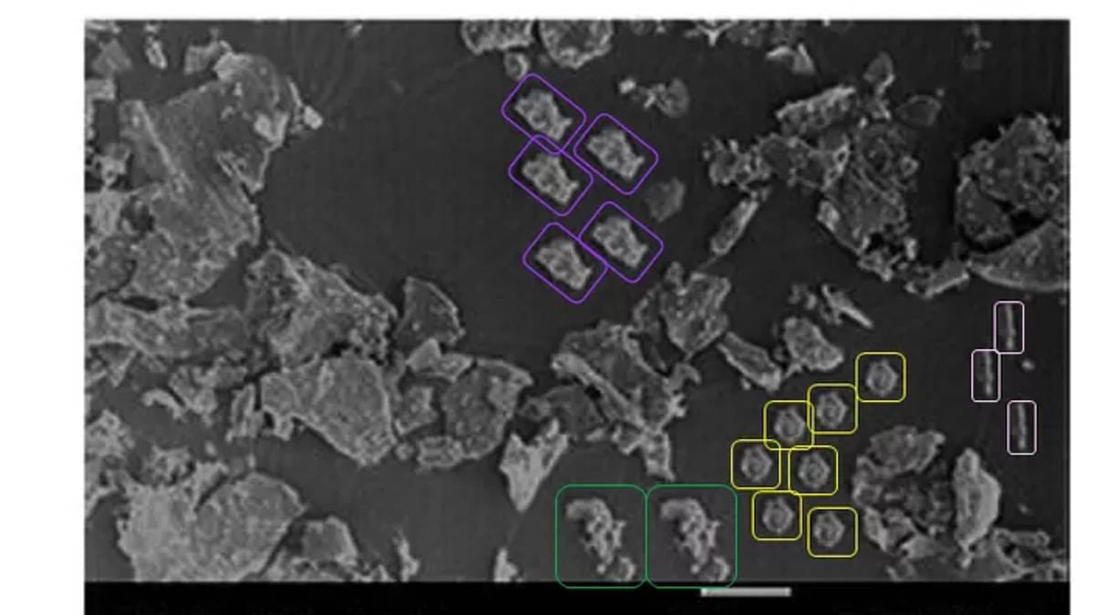 Image bearing signs of digital editing. | By special arrangement