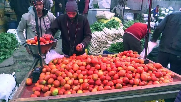 Tomato is the new onion as rain damage in southern states doubles prices, no respite soon